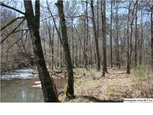 Narrows Road, Unit 168 Remlap, AL 35133 - Photo 14 of 21