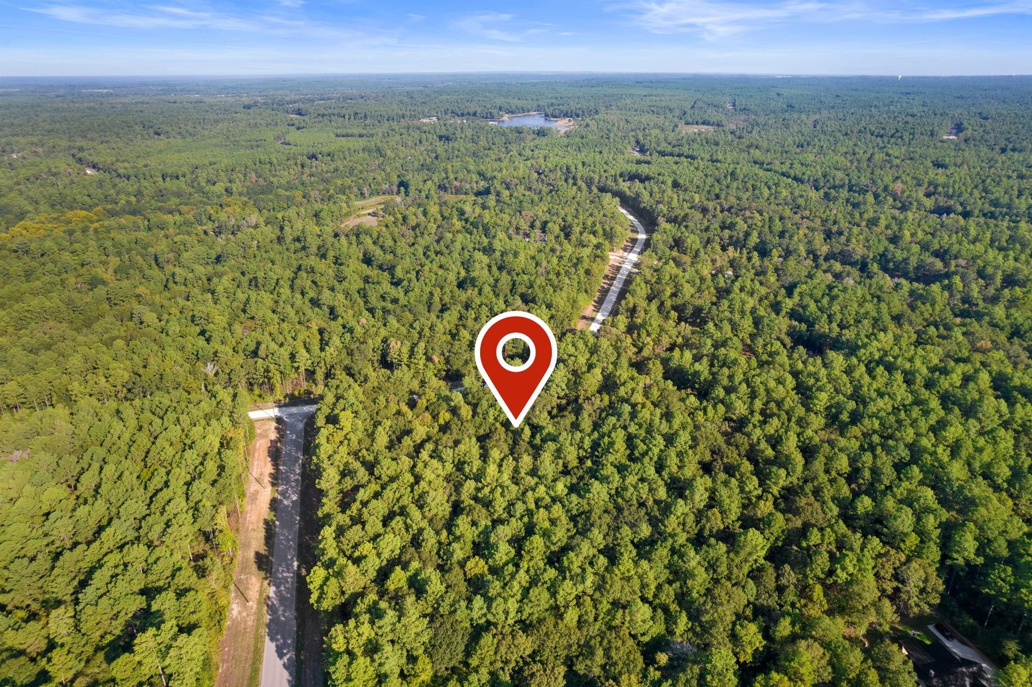 244 Remington Road Huntsville, TX 77340 - Photo 3 of 16