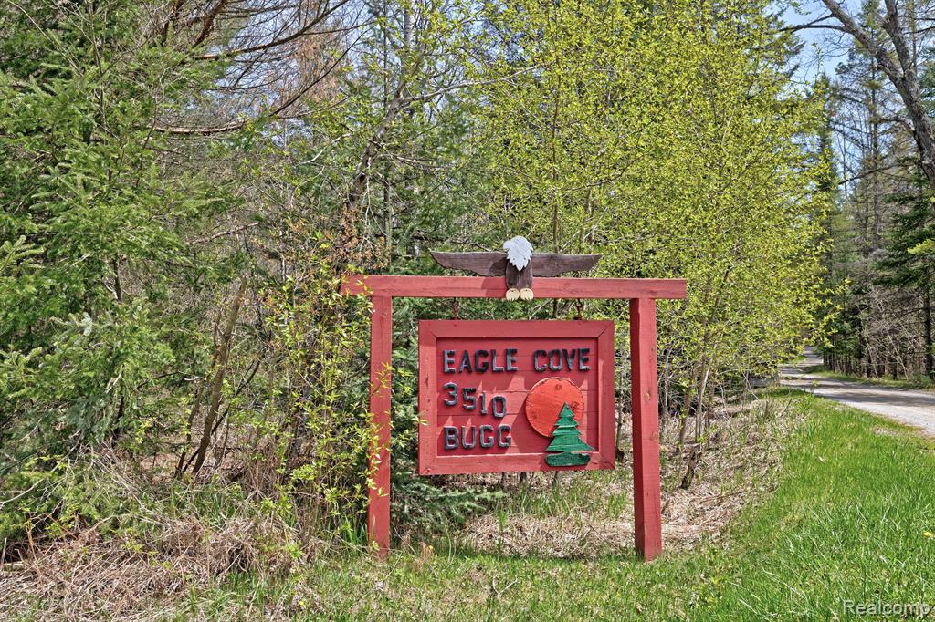 3510 Mc Collum Lake Road Curran, MI 48728 - Photo 59 of 99