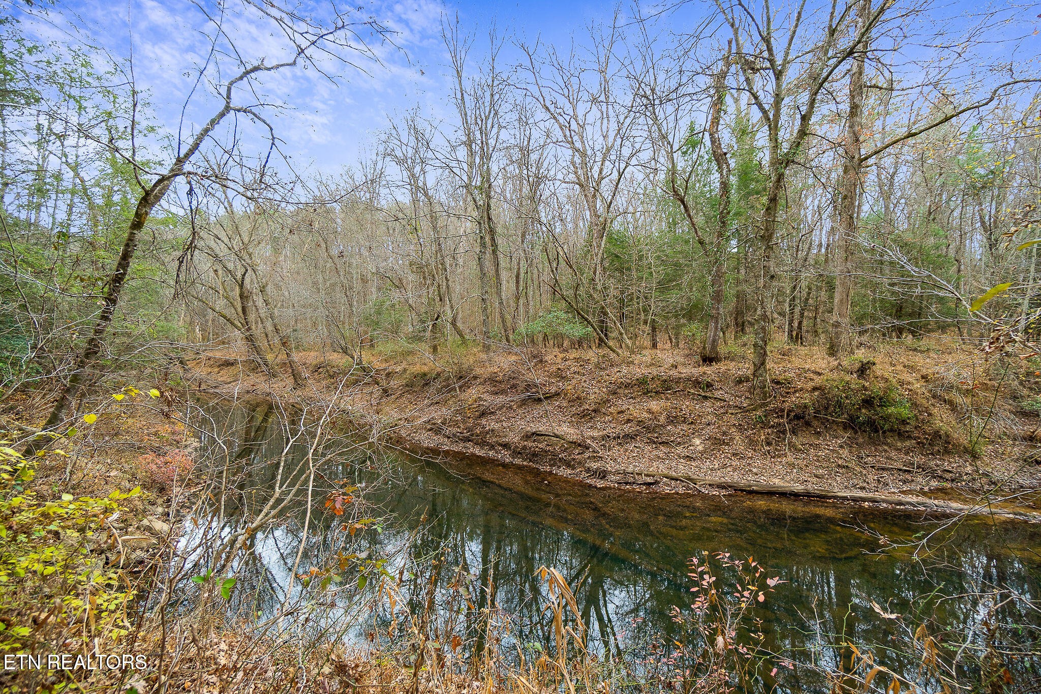 364 Open Range Road Crossville, TN 38555 - Photo 12 of 27 Gallery Image 12