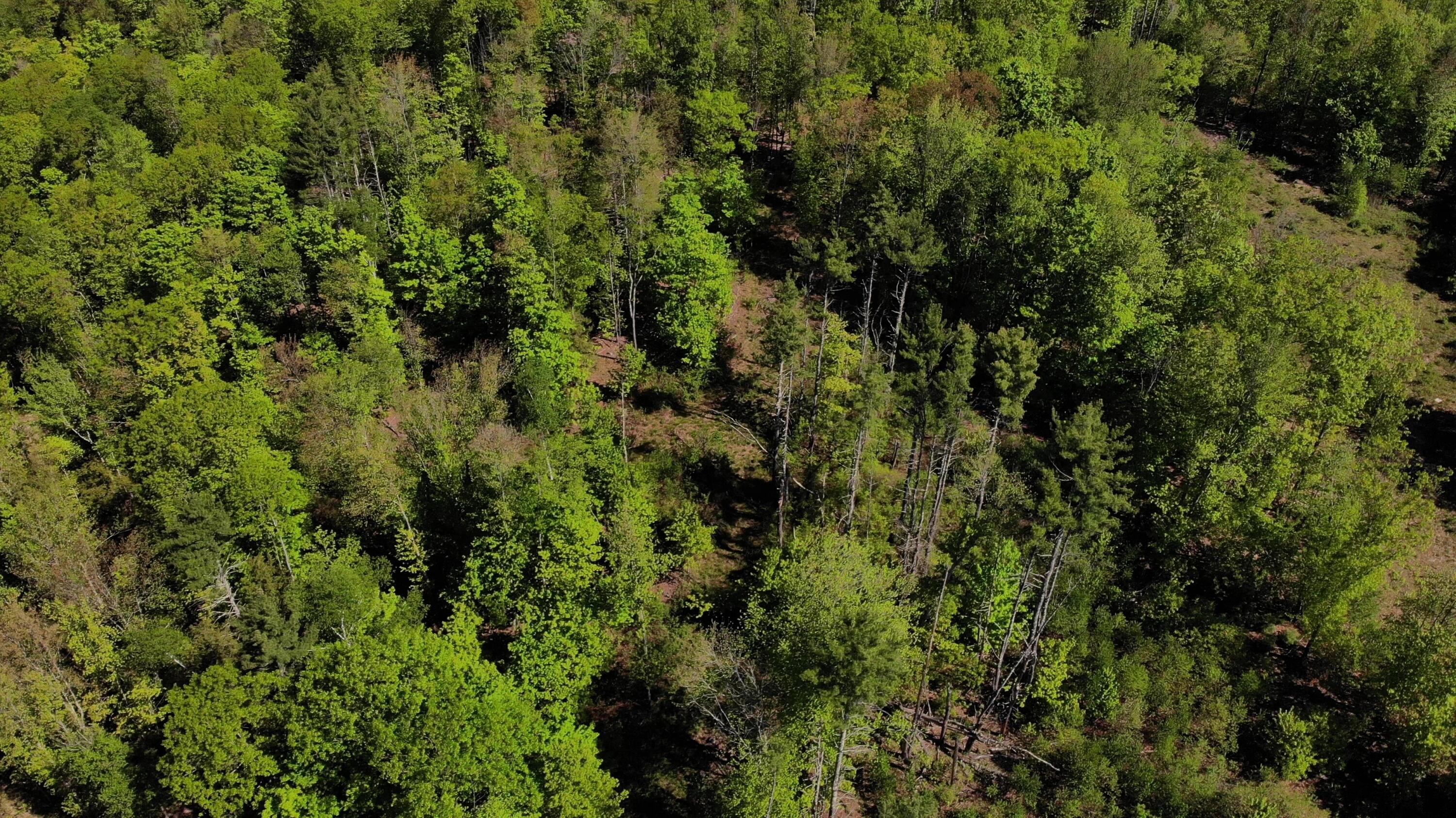 250 Drews Mills Road Biddeford, ME 04005 - Photo 14 of 28 DJI_0135 - frame at 3m33s