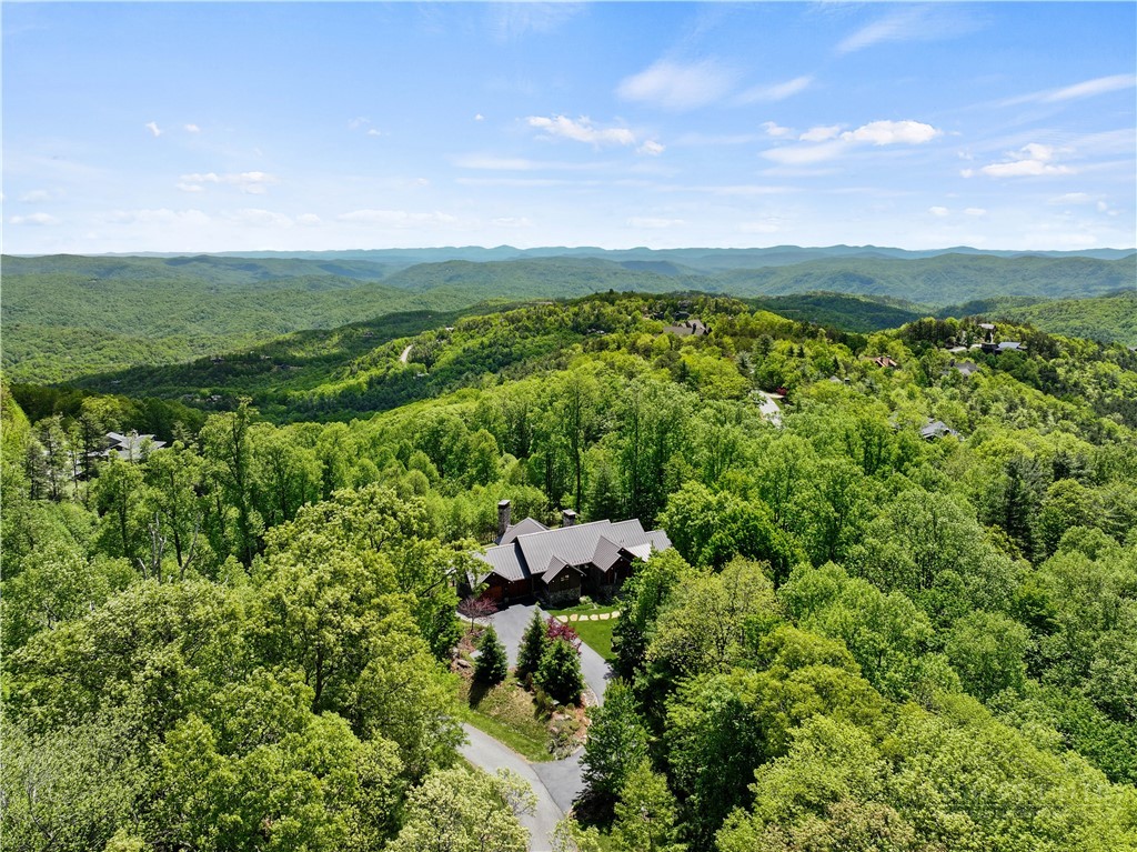 137 Burningbush Trail Boone, NC 28607 - Photo 47 of 50