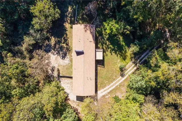 a view of a yard with plants