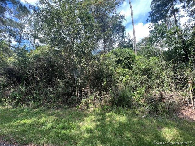 999 Elvis Taylor Road Bush, LA 70431 - Photo 1 of 4