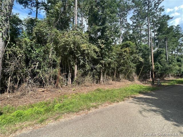 999 Elvis Taylor Road Bush, LA 70431 - Photo 3 of 4