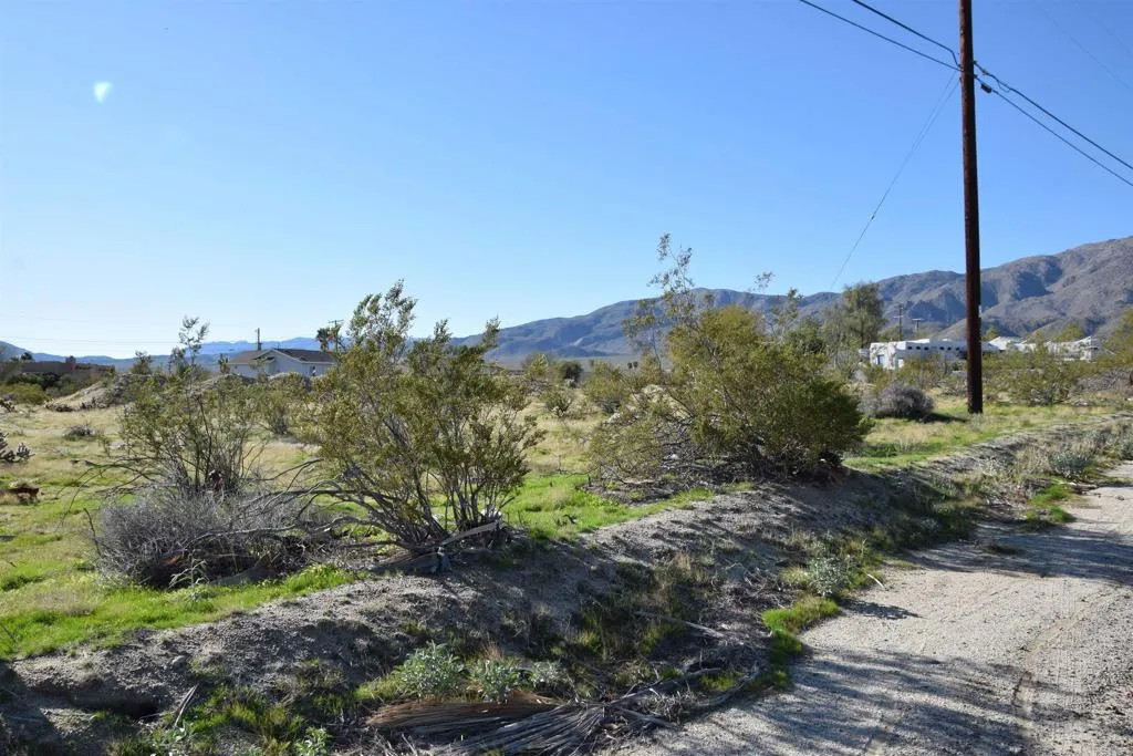 0 Country Club Road Borrego Springs, CA 92004 - Photo 4 of 6 a view of a field with a tree in the background
