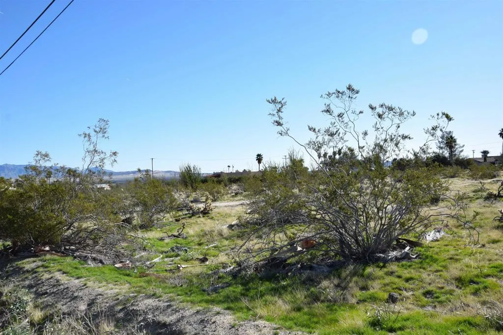 0 Country Club Road Borrego Springs, CA 92004 - Photo 5 of 6 a view of a houses