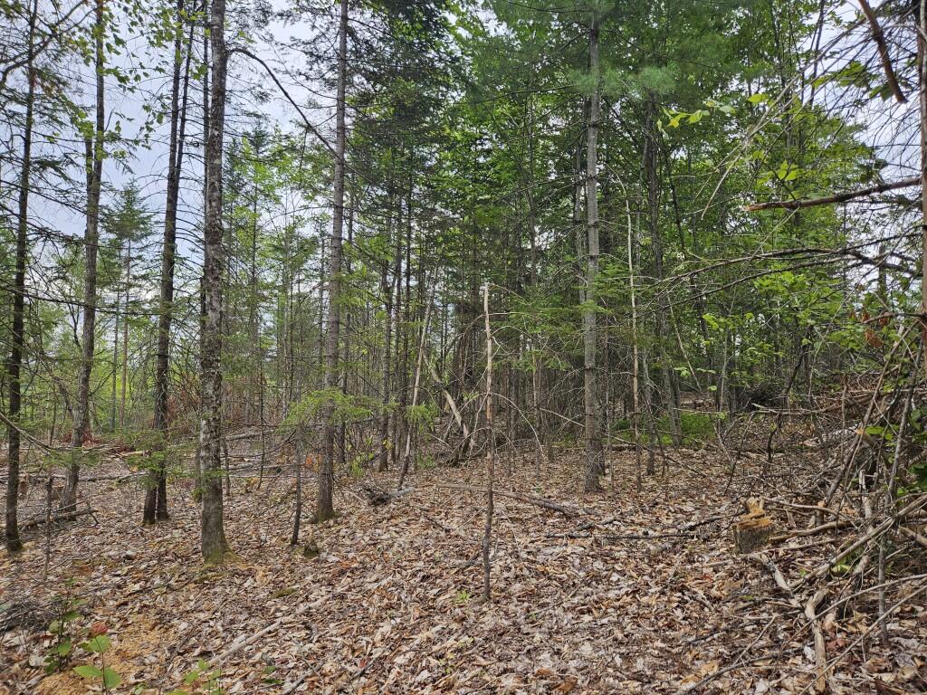 22-03 Rowell Mountain Road Solon, ME 04979 - Photo 31 of 55 20260721_155432