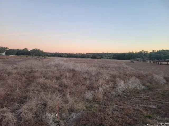 a view of a field of grass and trees