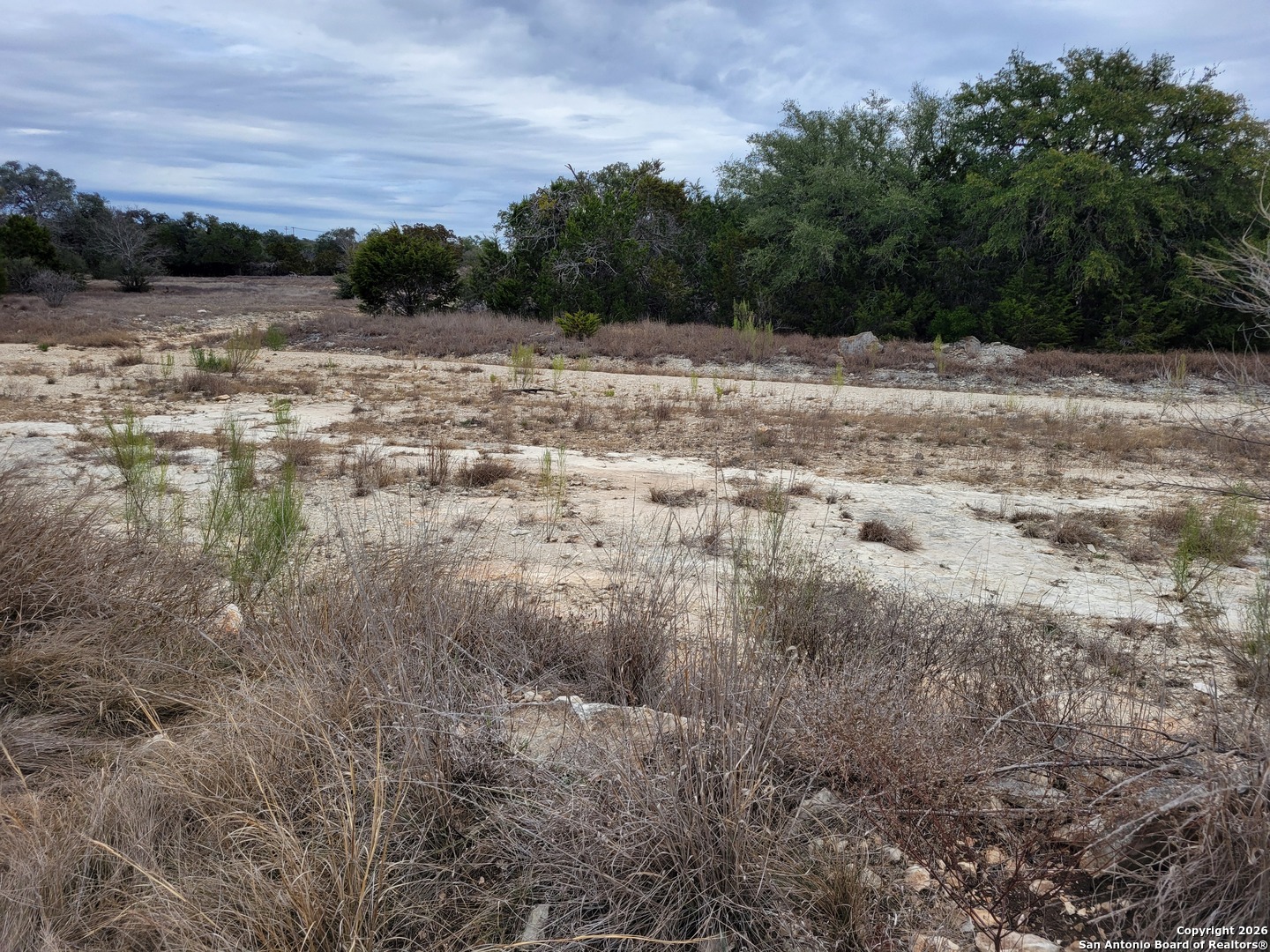 811 Serene Waters Spring Branch, TX 78070 - Photo 7 of 14