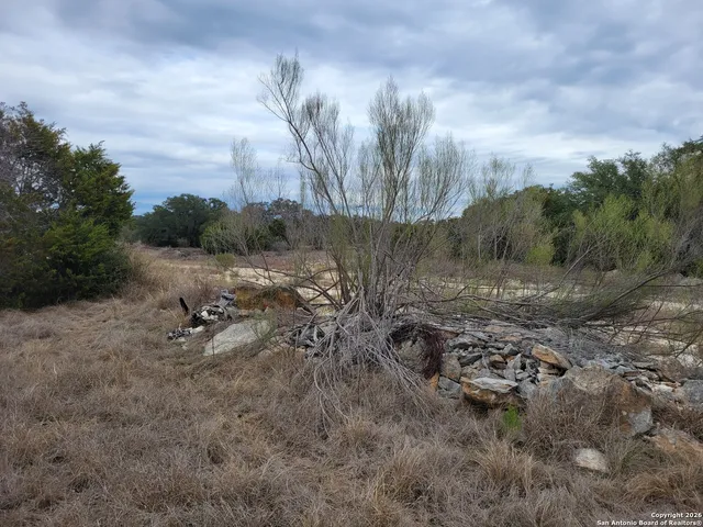 a view of a dry yard with trees