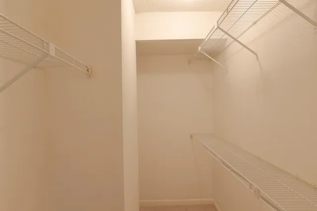 $1,650 | 1311 Antoine Drive, Unit 251, Houston, TX 77055