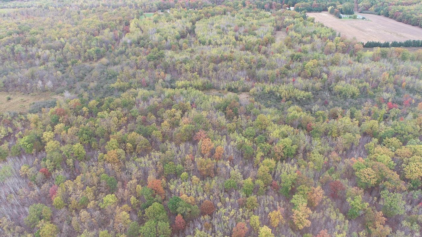 0 20th Avenue Cadott, WI 54727 - Photo 15 of 18