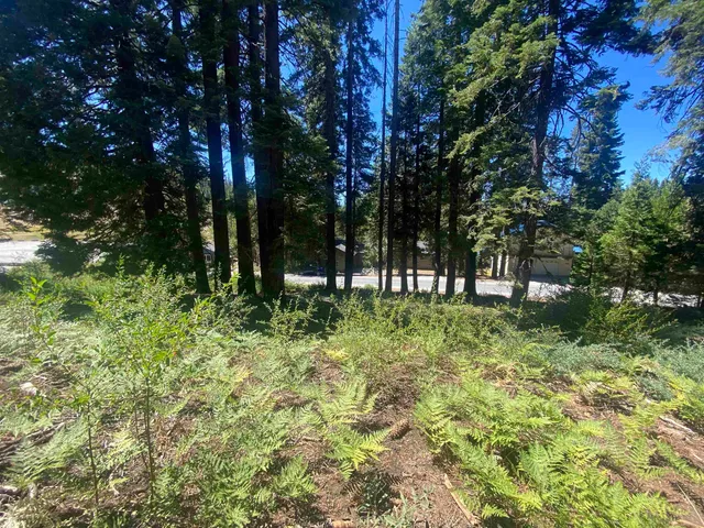 $85,000 | 33994 Leland Meadow Road, Pinecrest, CA 95364