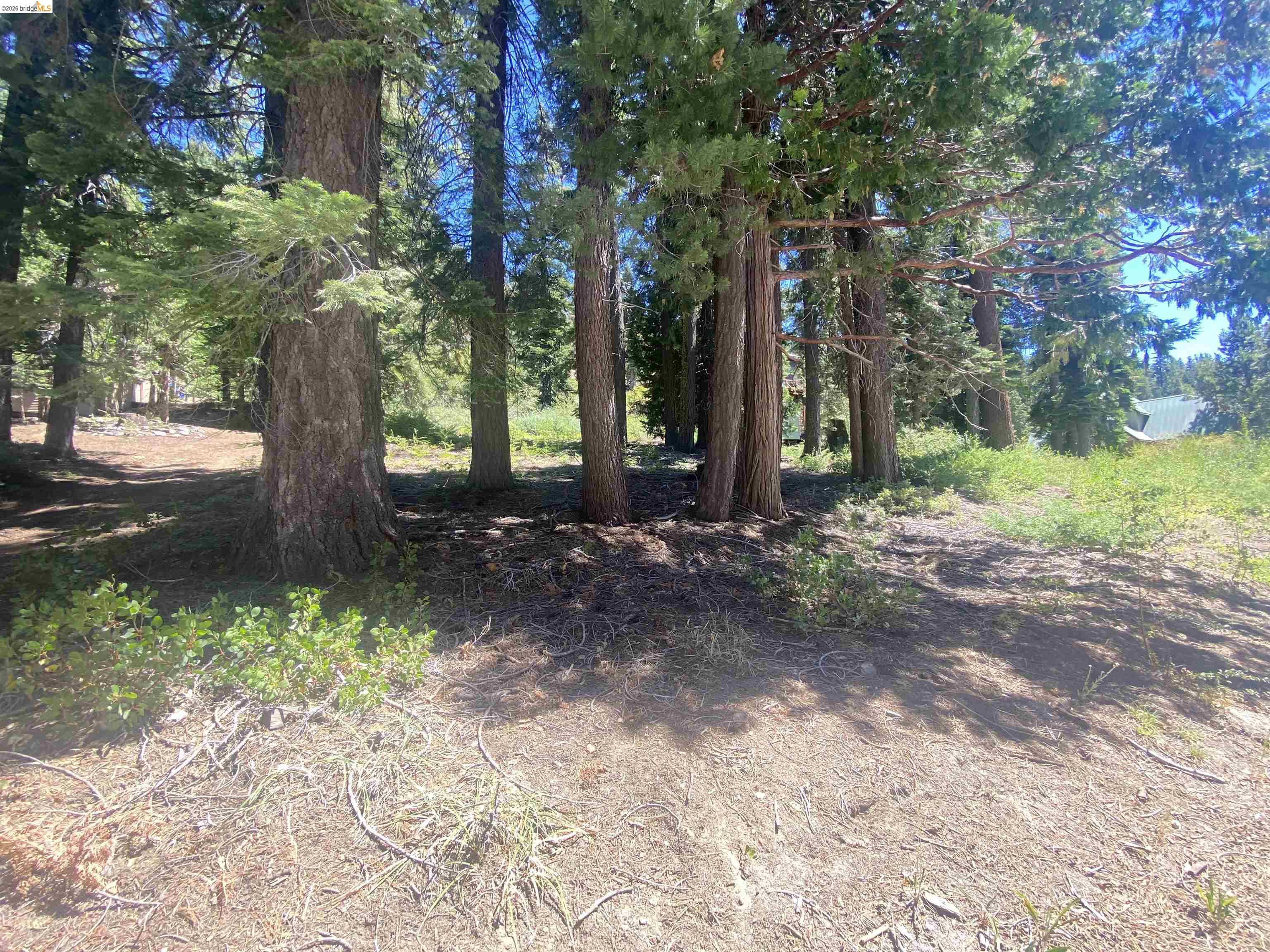 33994 Leland Meadow Road Pinecrest, CA 95364 - Photo 2 of 16 a backyard of a house with lots of green space