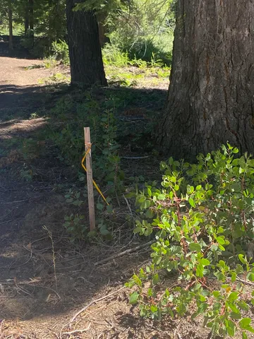 $85,000 | 33994 Leland Meadow Road, Pinecrest, CA 95364