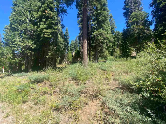 $85,000 | 33994 Leland Meadow Road, Pinecrest, CA 95364
