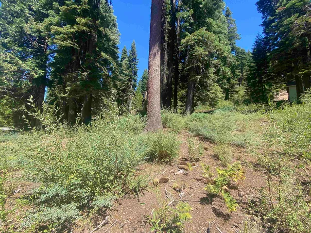 $85,000 | 33994 Leland Meadow Road, Pinecrest, CA 95364