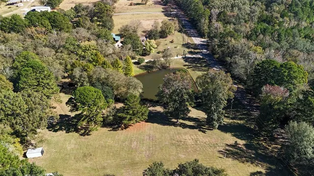 a view of a tree with a yard