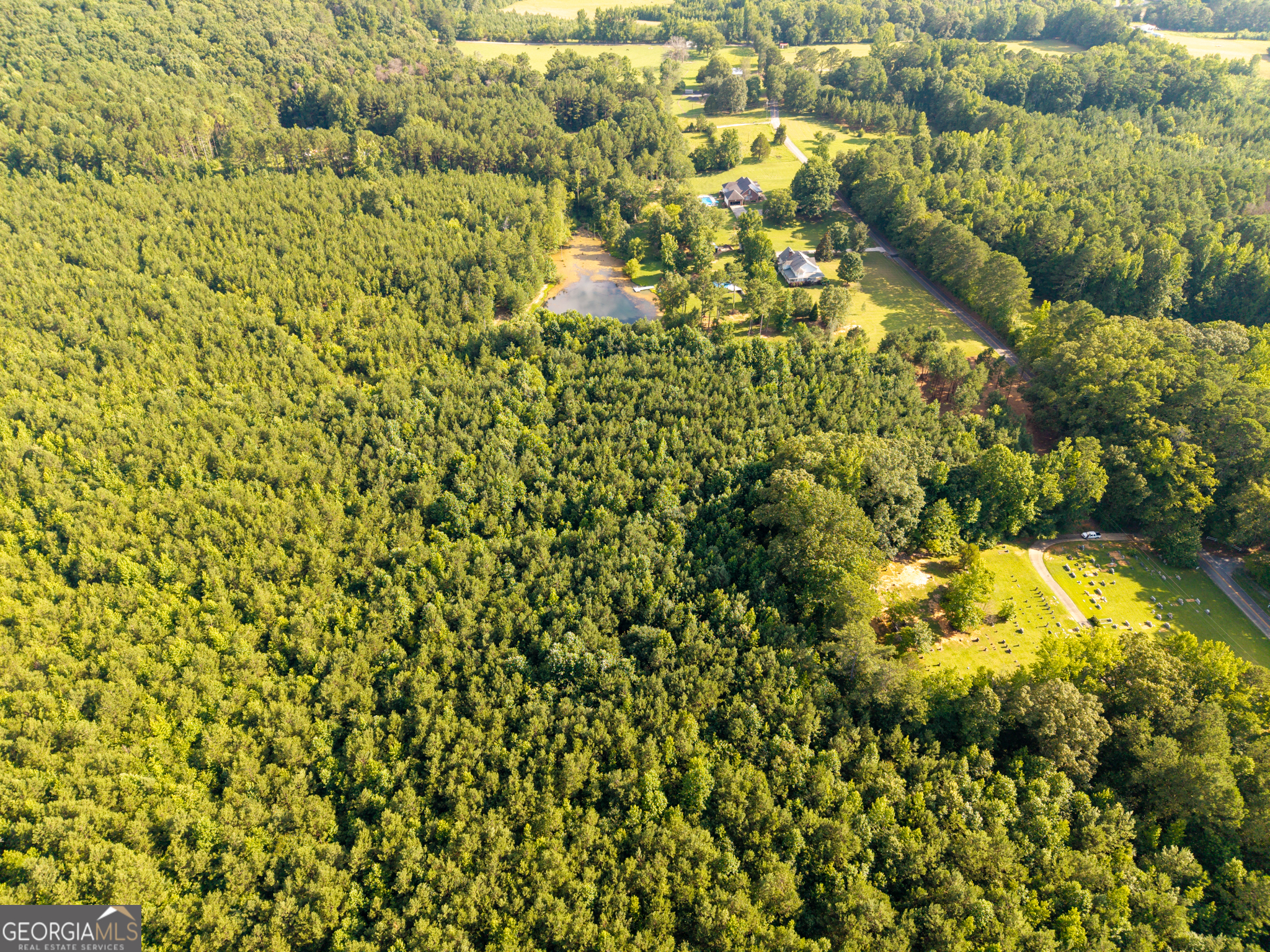 0 Hair Lake Road Summerville, GA 30747 - Photo 7 of 28