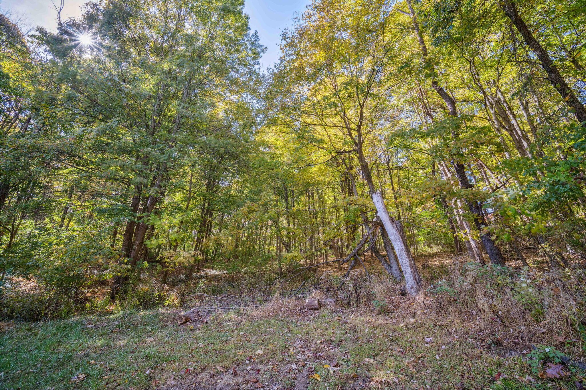 12420 Techniglas Road Newark, OH 43055 - Photo 68 of 72 Backyard