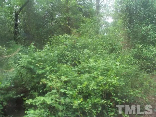 a view of a lush green forest