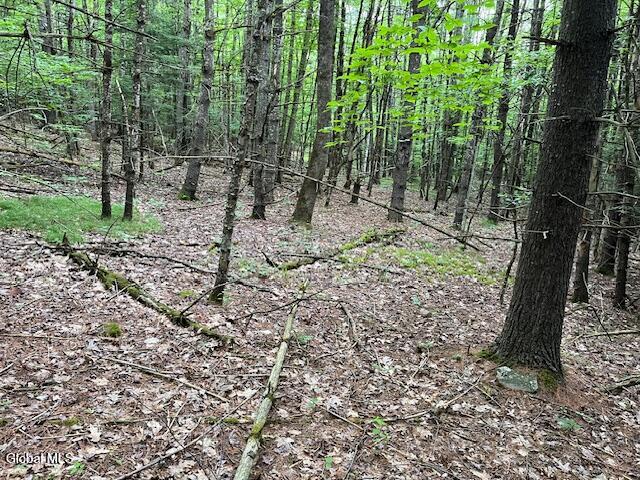 L34 Fred Jensen Road Middleburgh, NY 12122 - Photo 15 of 20 IMG_5701