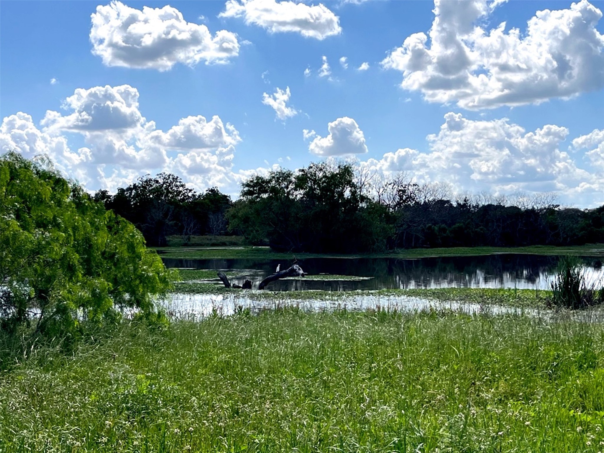 0 Clipson Road Eagle Lake, TX 77434 - Photo 12 of 15 a view of swimming pool with outdoor seating and green space