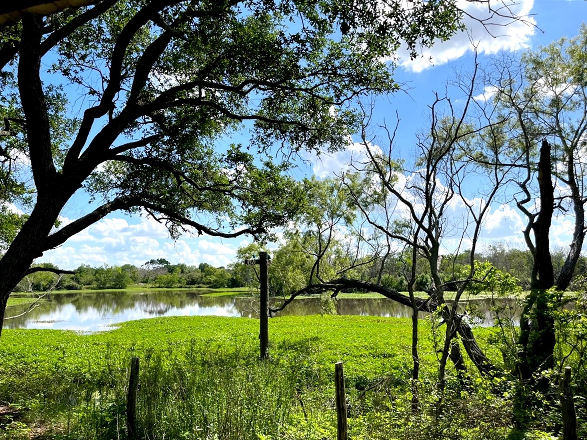 0 Clipson Road Eagle Lake, TX 77434 - Photo 13 of 15 a view of an outdoor space and a yard