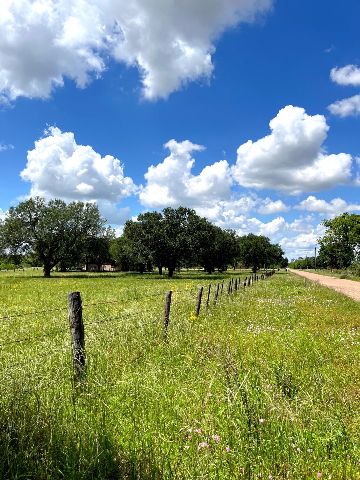 0 Clipson Road Eagle Lake, TX 77434 - Photo 3 of 15 a view of an outdoor space and yard