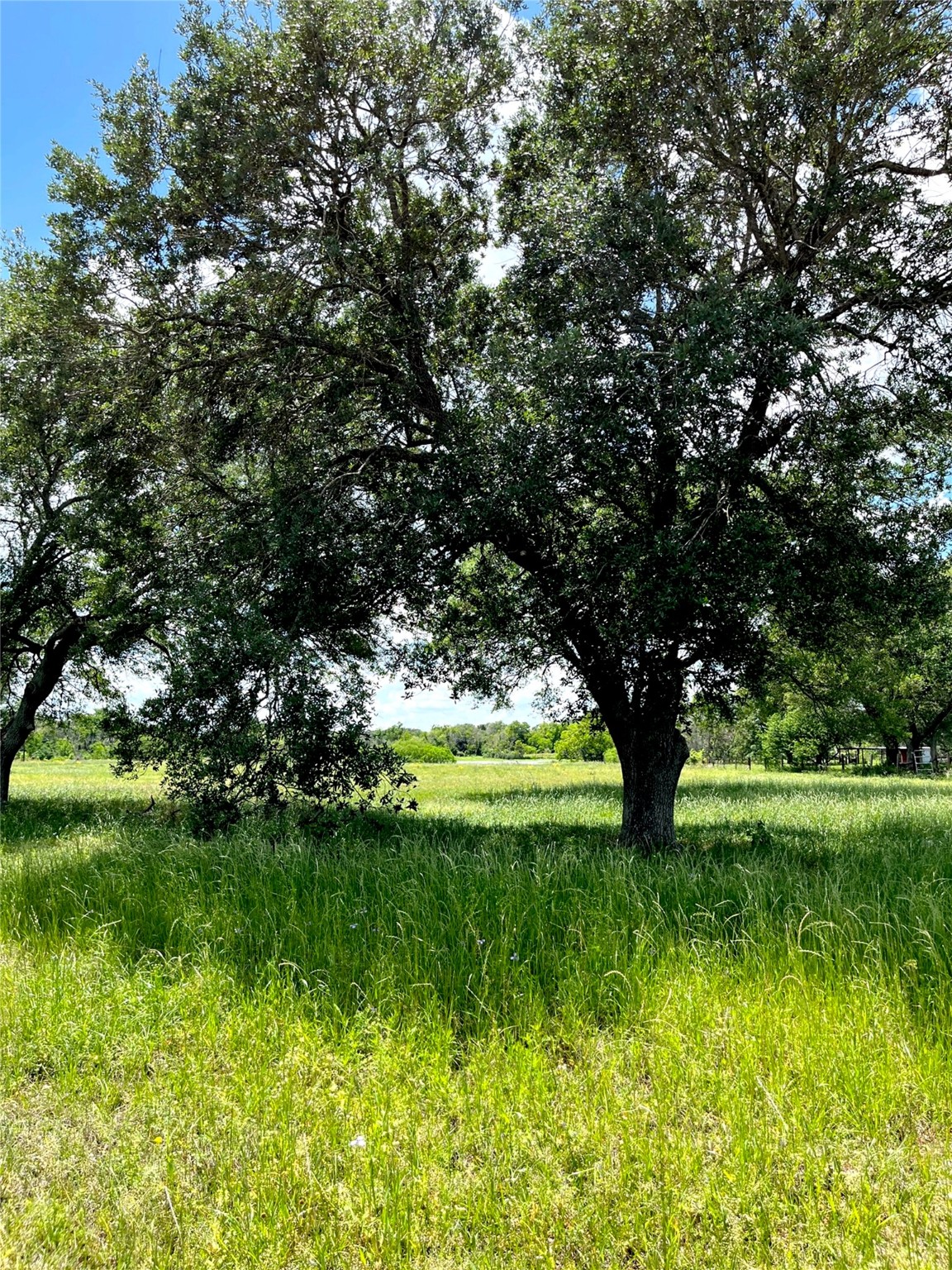 0 Clipson Road Eagle Lake, TX 77434 - Photo 6 of 15 a view of backyard with green space