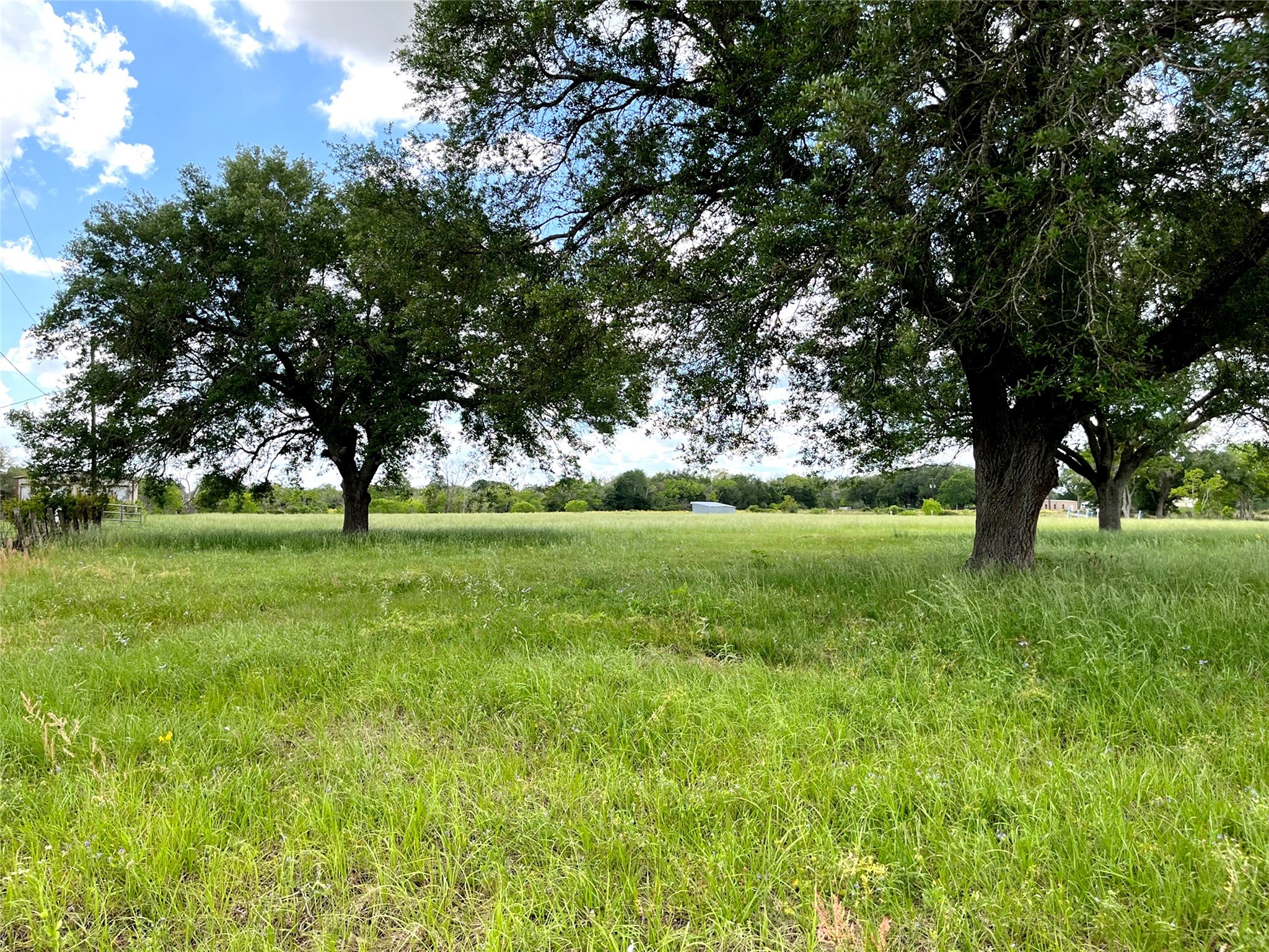 0 Clipson Road Eagle Lake, TX 77434 - Photo 7 of 15 a view of green field with trees in the background