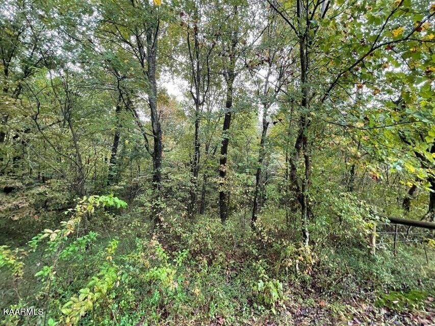 1847 Oloff Smith Road Allardt, TN 38504 - Photo 15 of 20 Gallery Image 15
