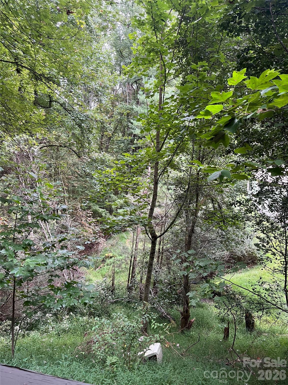 2294 Shulls Mill Road Boone, NC 28607 - Photo 28 of 28 Gallery Image 28