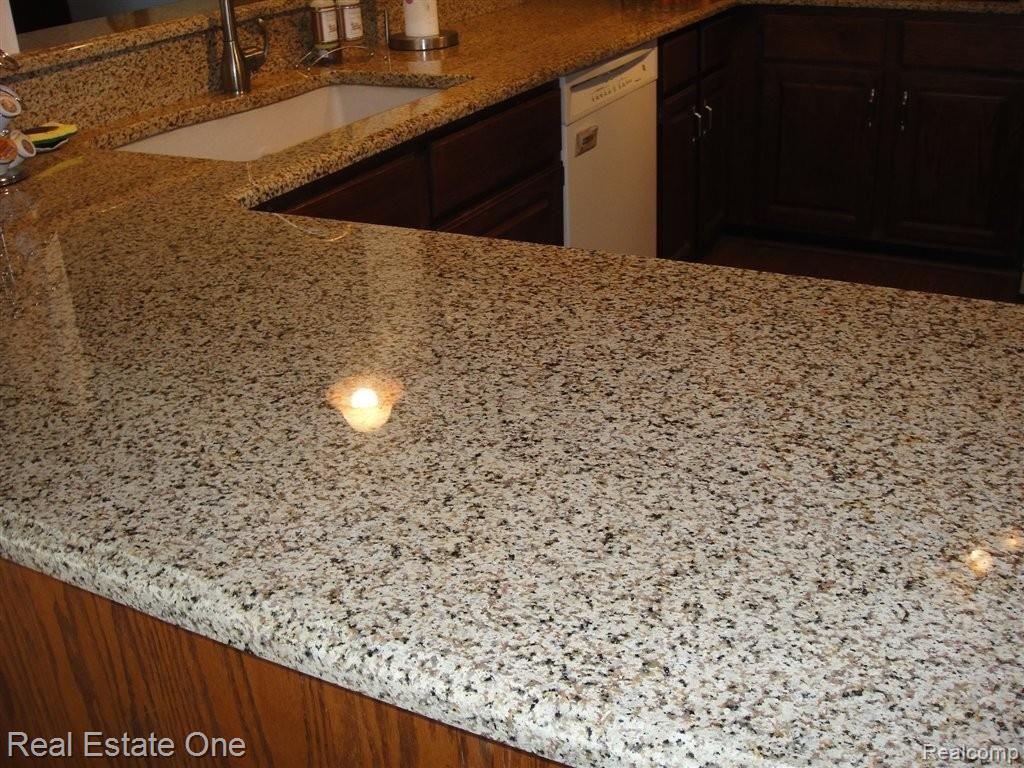 1221 Hathaway Rising Rochester, MI 48306 - Photo 13 of 25 Granite countertops