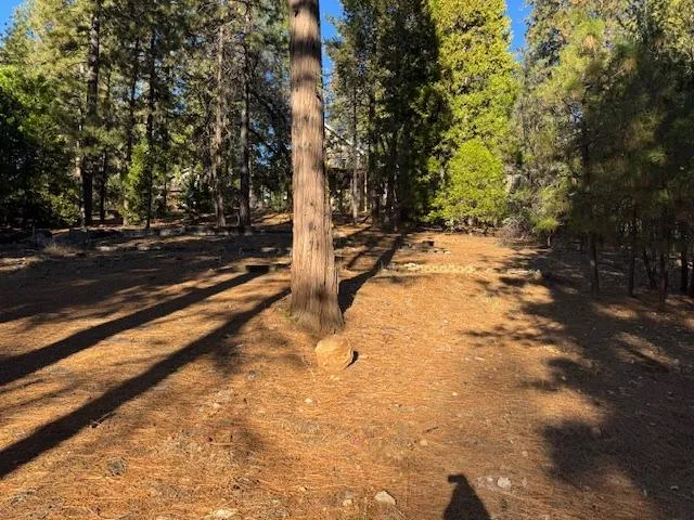 $65,000 | 2698 Country Club Drive, Arnold, CA 95223