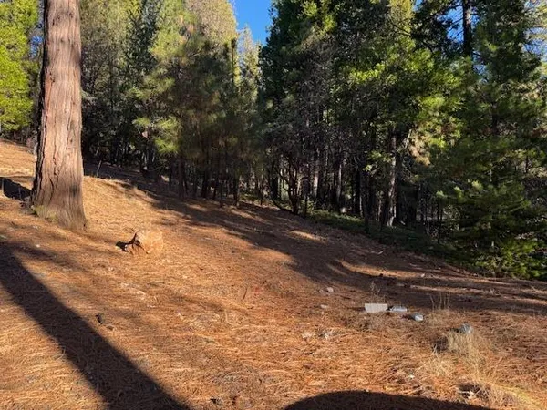 a view of empty space with trees