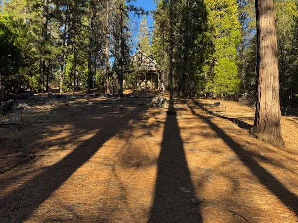 a view of an outdoor space