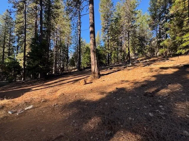 $65,000 | 2698 Country Club Drive, Arnold, CA 95223