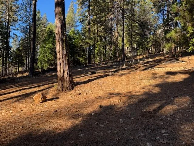 $65,000 | 2698 Country Club Drive, Arnold, CA 95223