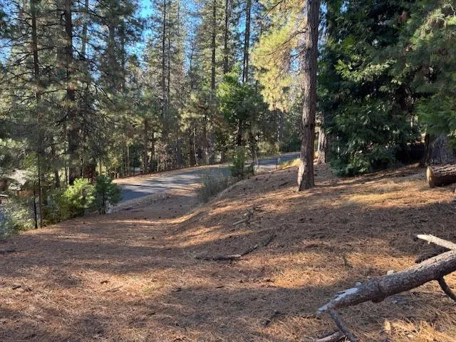 $65,000 | 2698 Country Club Drive, Arnold, CA 95223