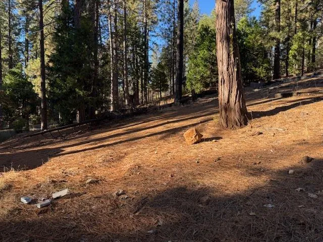 $65,000 | 2698 Country Club Drive, Arnold, CA 95223