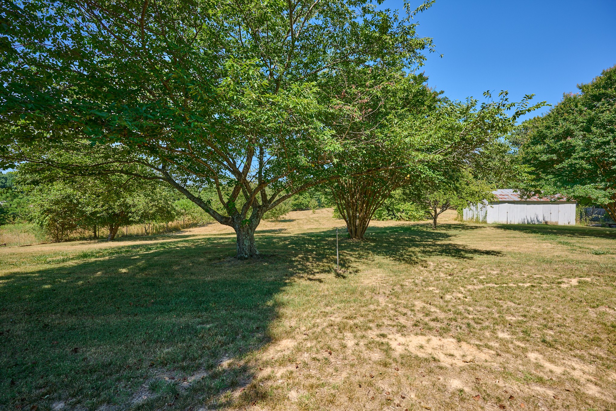 4649 Washington Road Greenbrier, TN 37073 - Photo 10 of 22 a view of backyard with green space