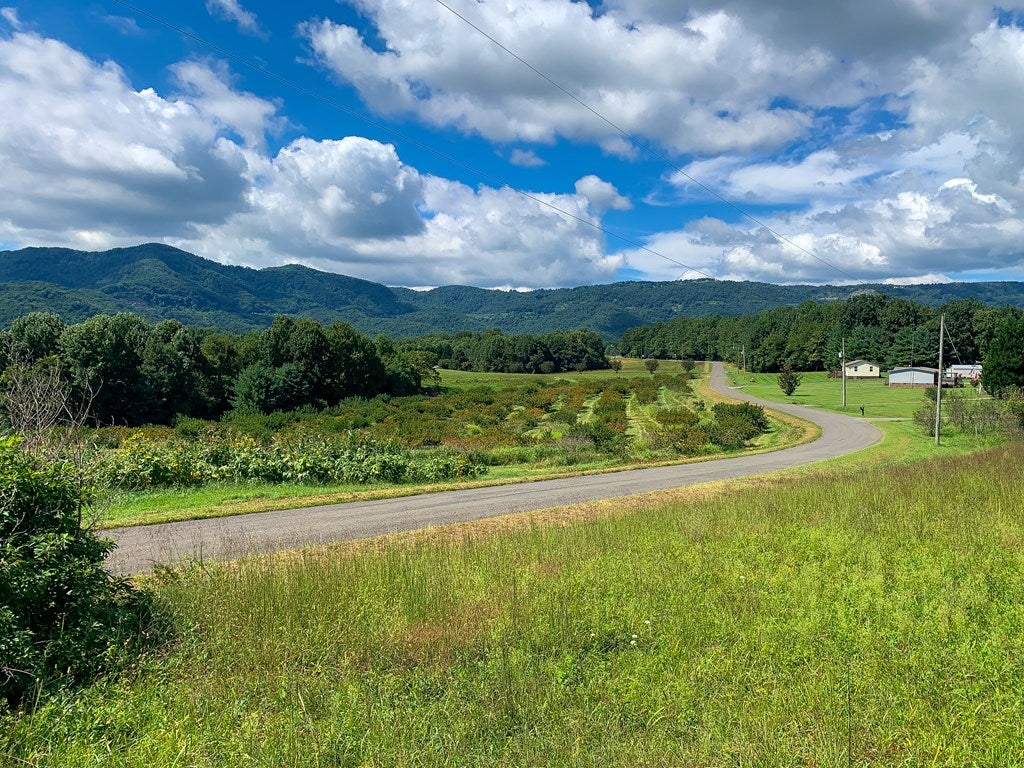 Tbd Apple Ridge Road, Unit 7 Cana, VA 24317 - Photo 9 of 27 Gallery Image 9