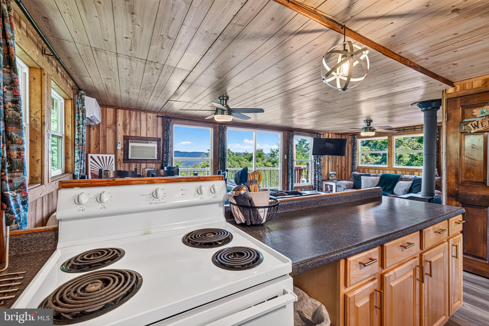 707 Overlook Drive Rileyville, VA 22650 - Photo 26 of 94