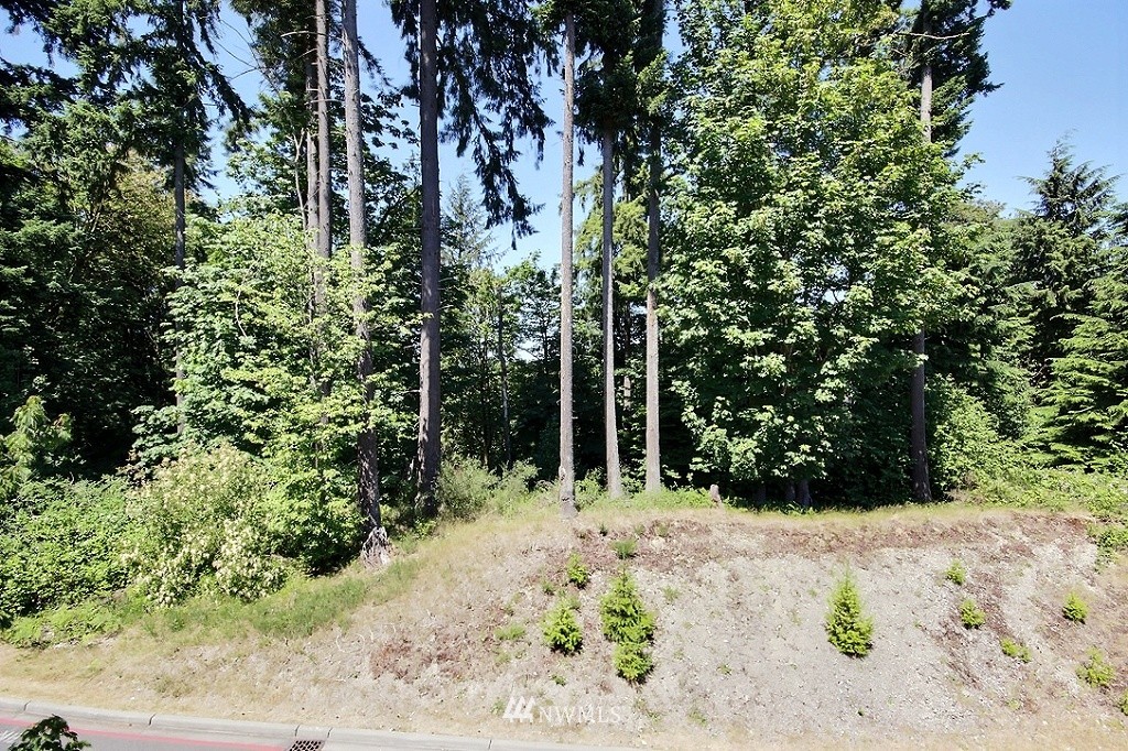 2904 Southeast 8th Street, Unit 2128 Renton, WA 98058 - Photo 11 of 15 Gallery Image 11