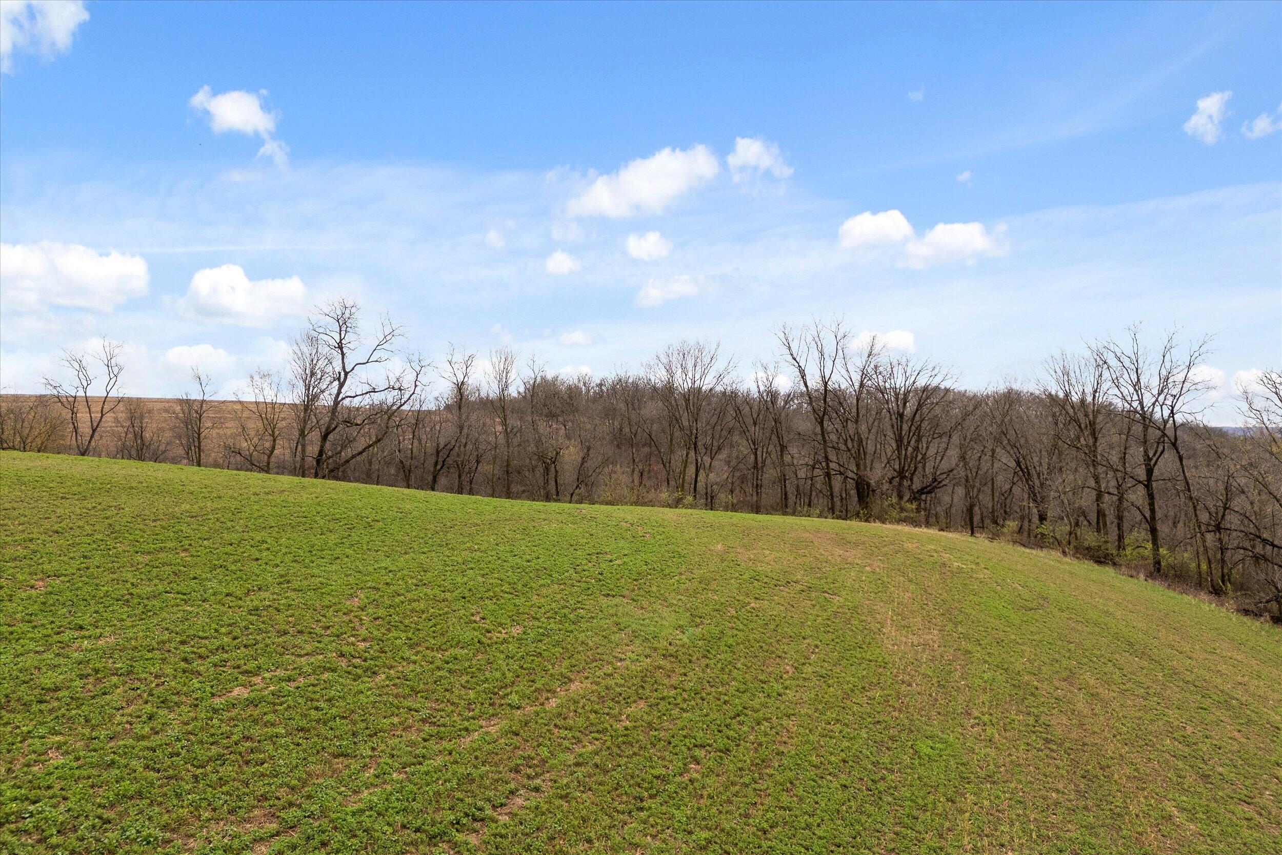 36480 Bouska Road Bridgeport, WI 53821 - Photo 11 of 87 Crop Land
