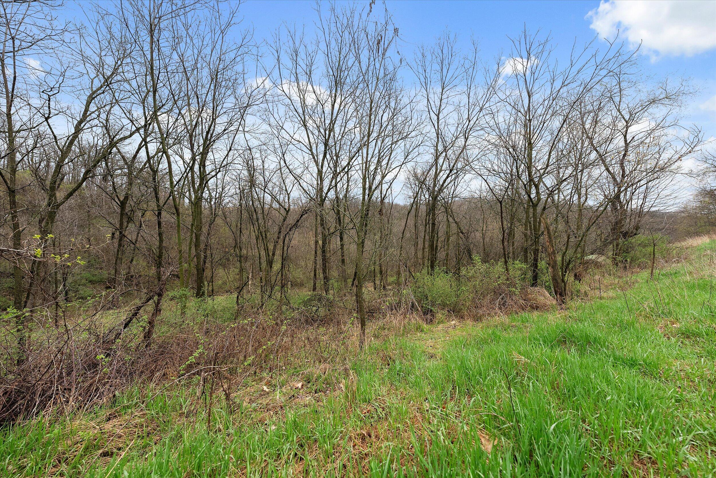 36480 Bouska Road Bridgeport, WI 53821 - Photo 12 of 87 Land
