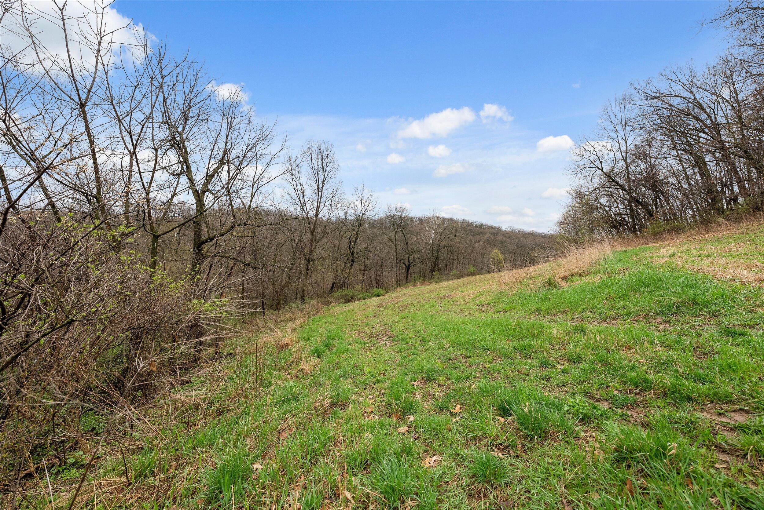 36480 Bouska Road Bridgeport, WI 53821 - Photo 13 of 87 Crop Land