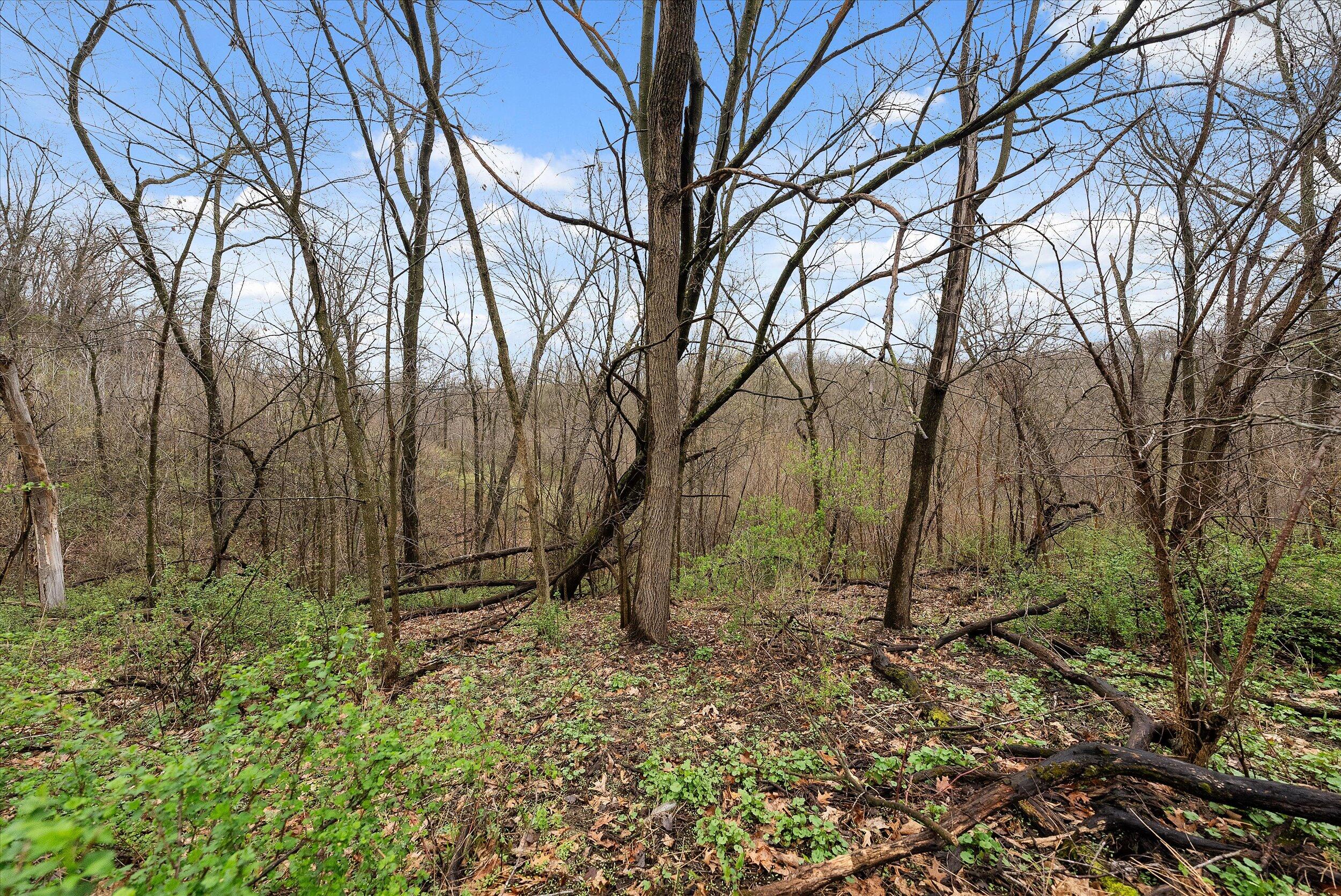 36480 Bouska Road Bridgeport, WI 53821 - Photo 14 of 87 Land